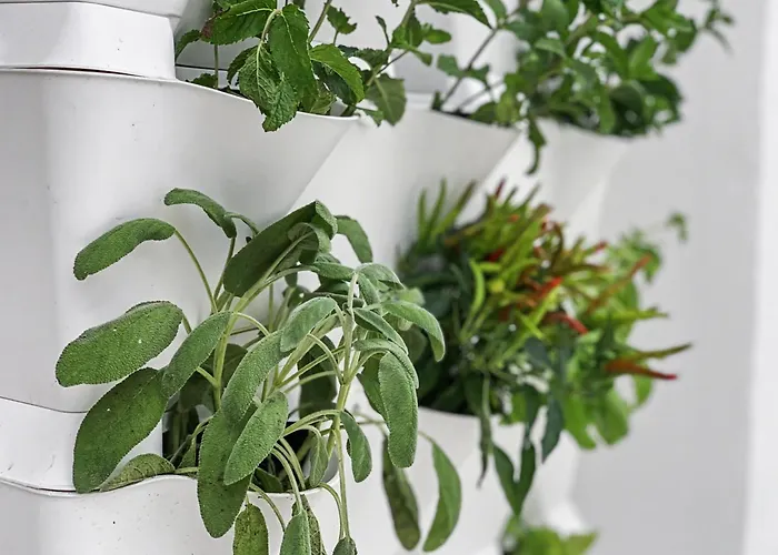 Al Castello Appartement Dolceacqua